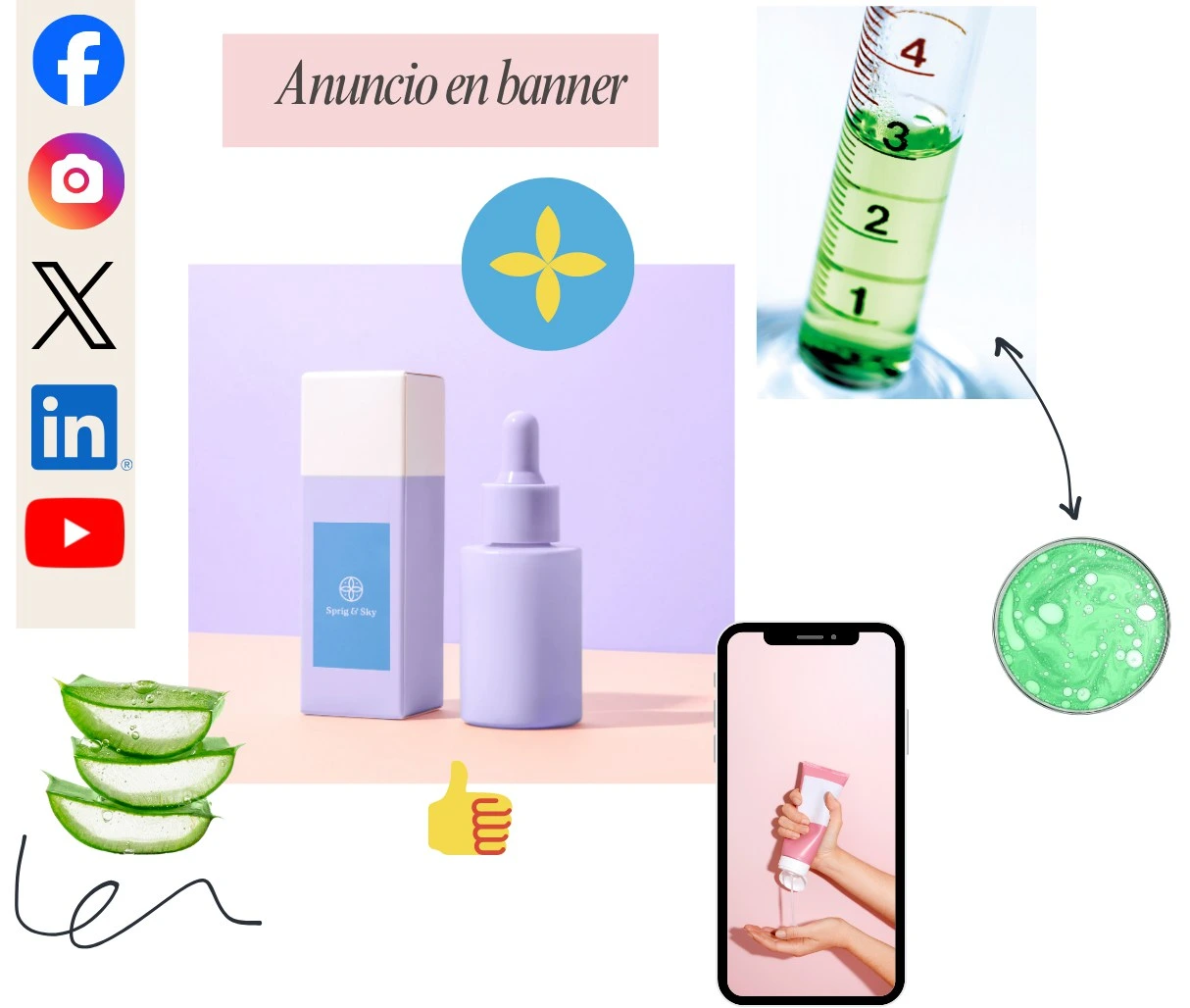 Ventajas y aspectos destacados